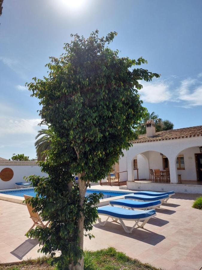 Zenia Hostel بلايا فلامنكا المظهر الخارجي الصورة
